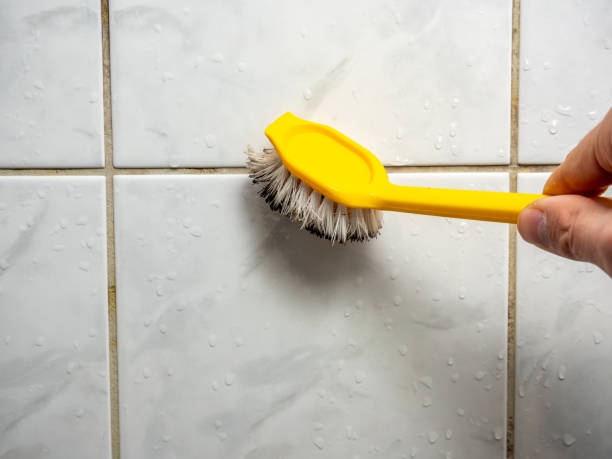 Best Professional Mold Removal  in Norco, LA