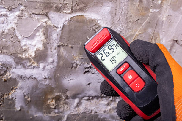 Best Home Mold Removal  in Norco, LA