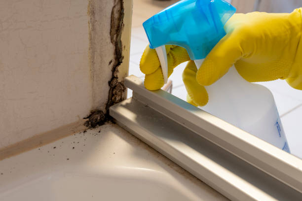 Best Crawl Space Mold Removal  in Norco, LA