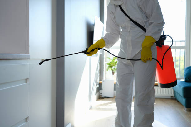 Crawl Space Mold Removal in Norco, LA