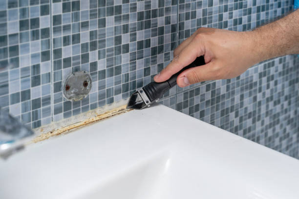 Best Local Mold Removal Service  in Norco, LA