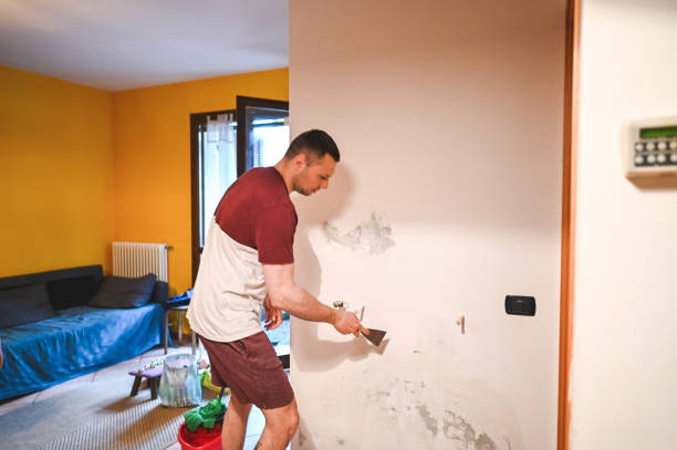 Best Toxic Mold Removal  in Norco, LA